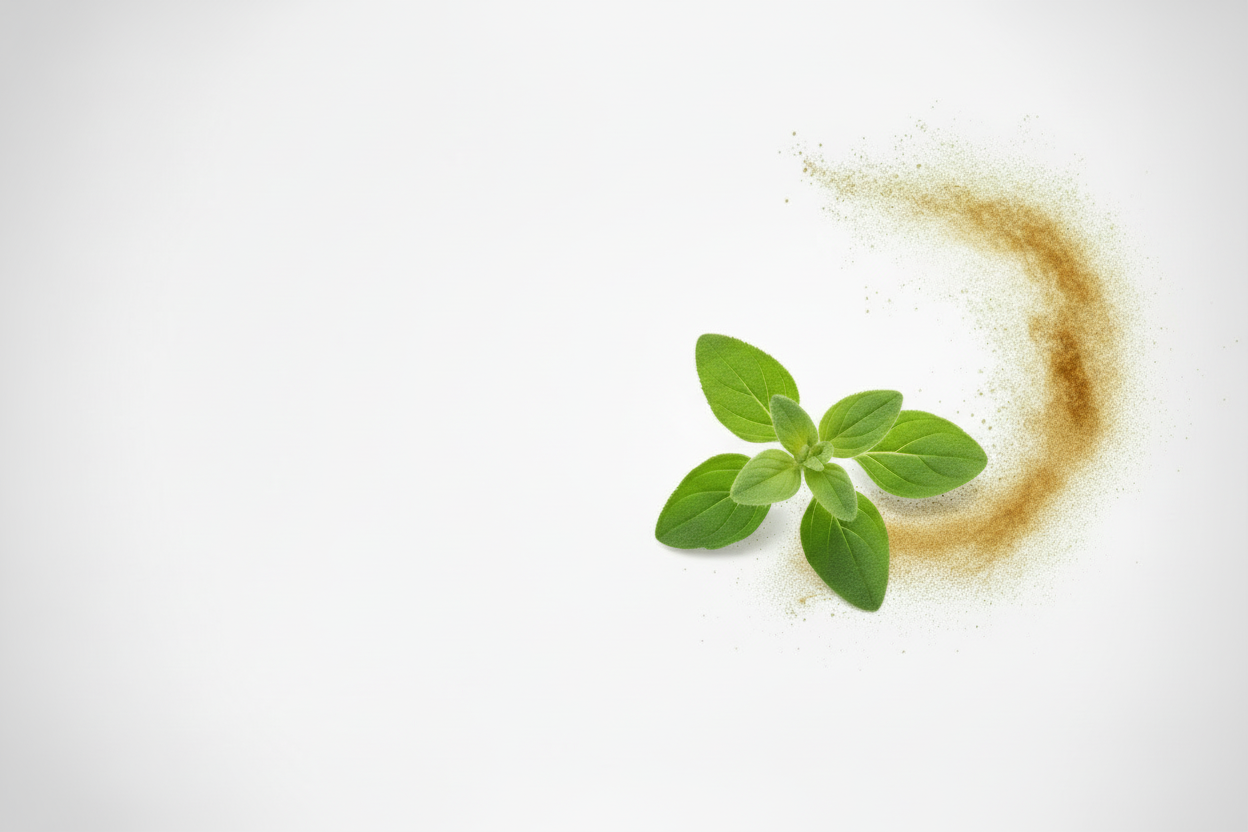 Planta en el extremo derecho